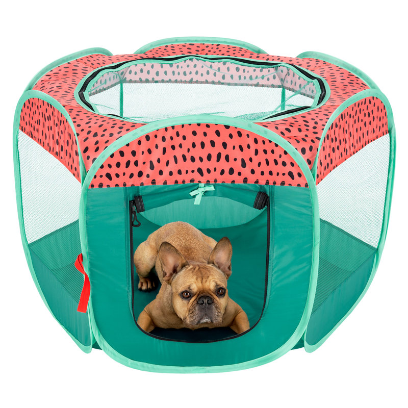 with Pet Door, 23.75" H x 37" W x 31" D, Red/Green
