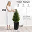 120cm Tree