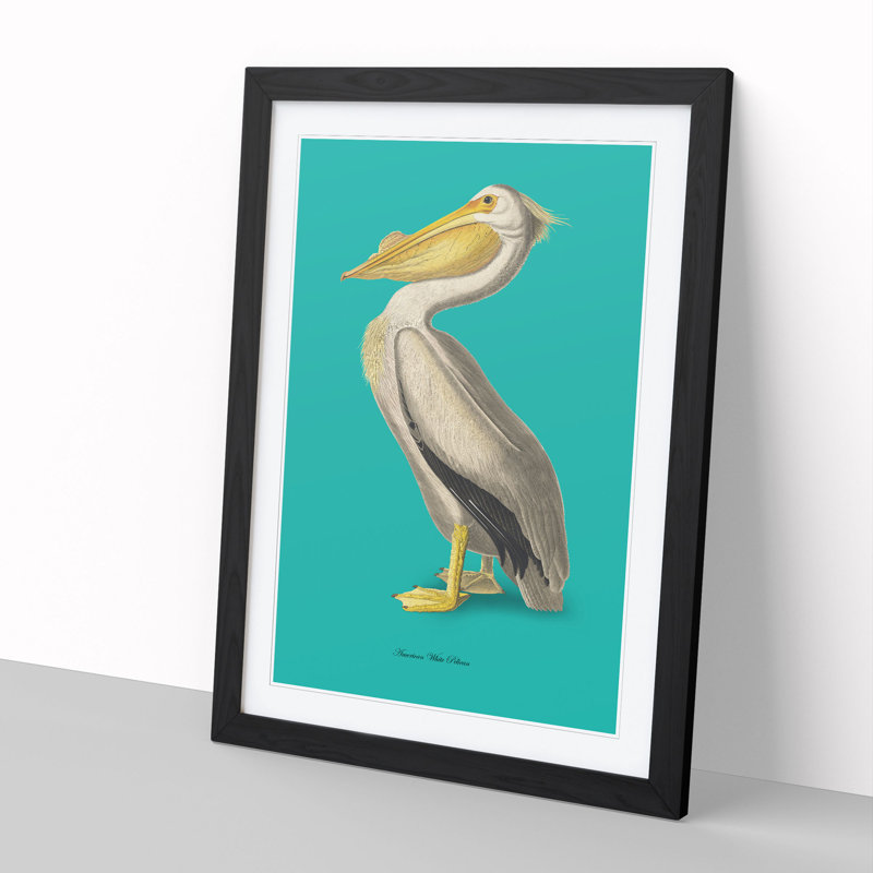 American Pelican in Teal by John Audubon - Framed Print, 36cm H x 27cm W x 2cm D, Black