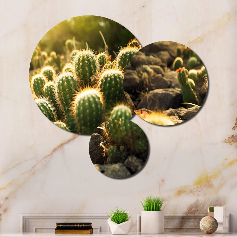 Plants & Flowers Wall Decor on Metal