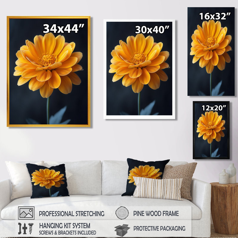 Jaune, jaune, soleil, splendeur, souci, photo I - décoration murale souci, Cadre simple noir, bois massif, H 30 po x l 40 po