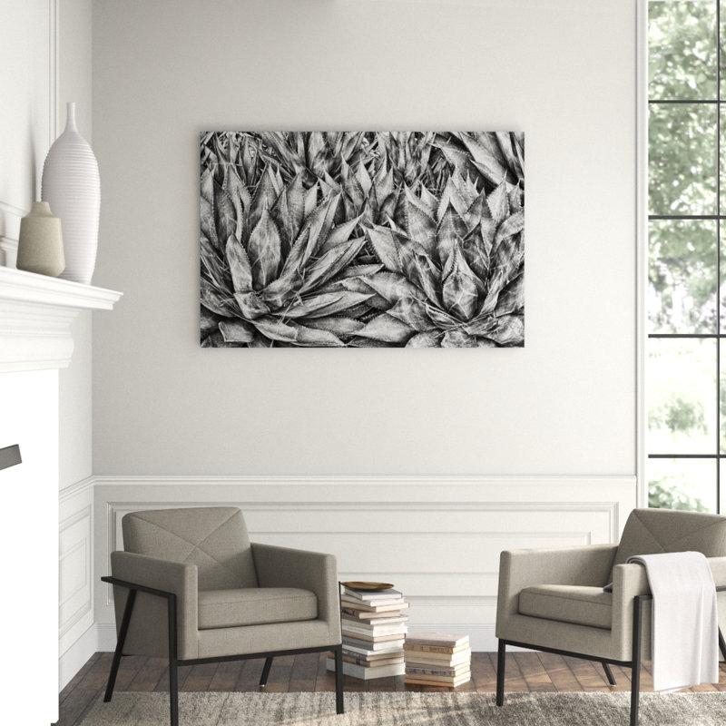 Agaves Print by Harold Davis, 40" H x 60" W, Plexi