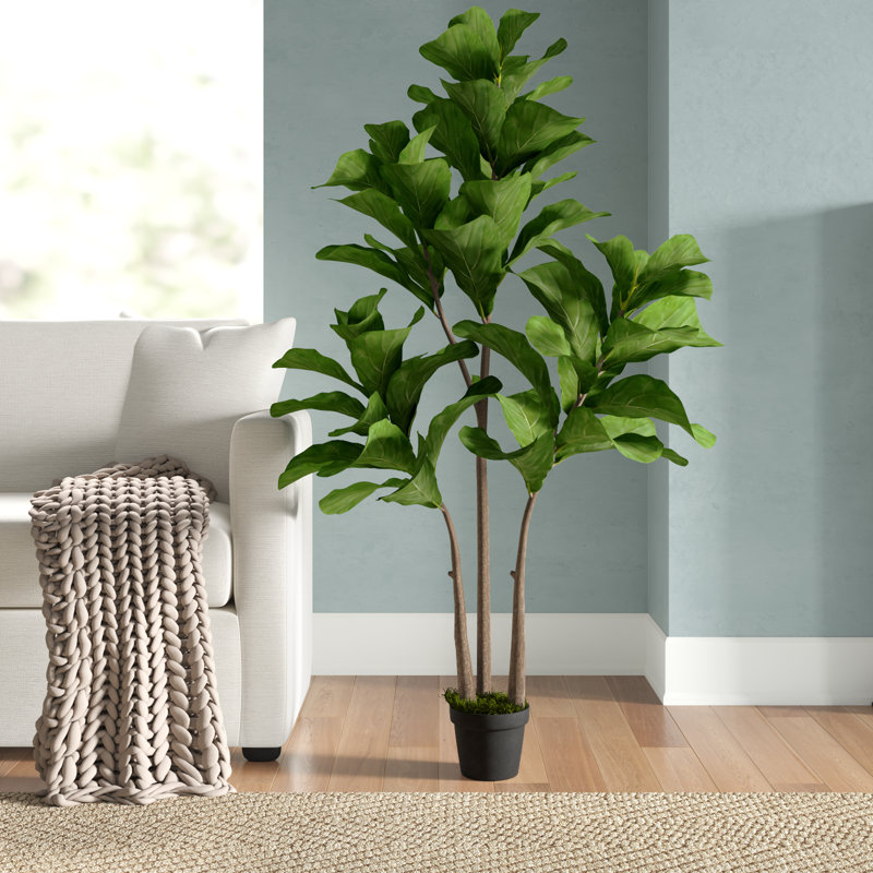 59.1'' Faux Fiddle-Leaf Fig Tree Tree in Cement Pot