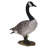 Standing Canada Goose Statue