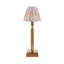 Trobridge Rechargeable Metal Table Lamp-105031181