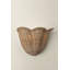 Ardonia Wall Sconce