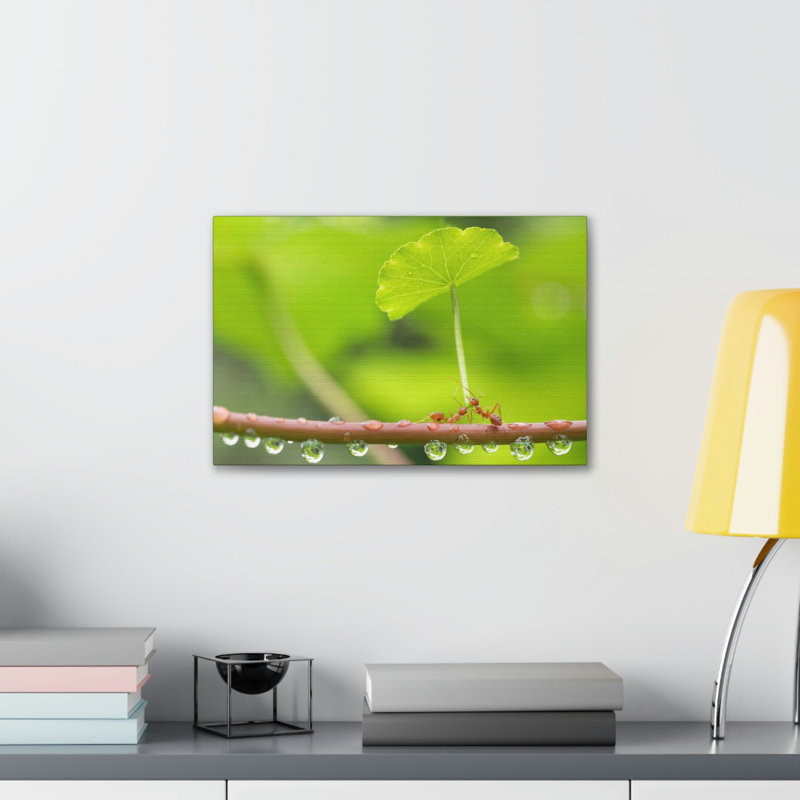 No Frame Print on Canvas, 27.94cm H x 35.56cm W