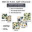 Winterton - ensemble de 5 plantes murales