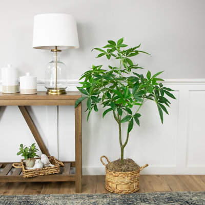 4'' Faux Money Tree Tree in Pot