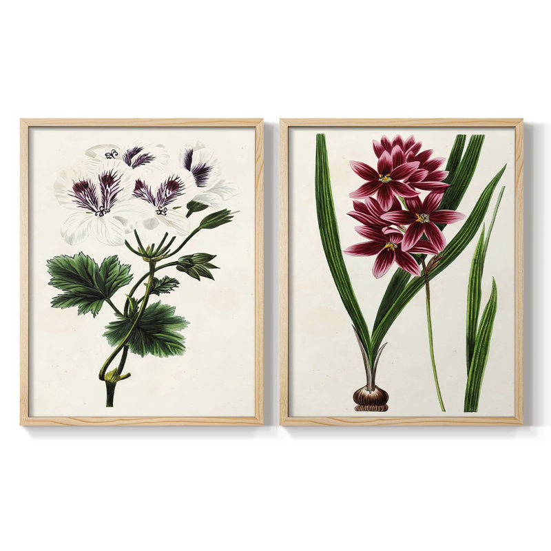 AntiqueFloralFolioIX - reproduction encadrée de qualité supérieure - prête à être accrochée - aucun clou requis - aucun clou requis