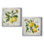 Linen Lemons I - ensemble de 2 impressions-1646023060-1646023062-1646023057