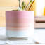 Ceramic Pot Planter-63880906-63880909