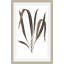 Daily Wish Brown 3 Print-819336567