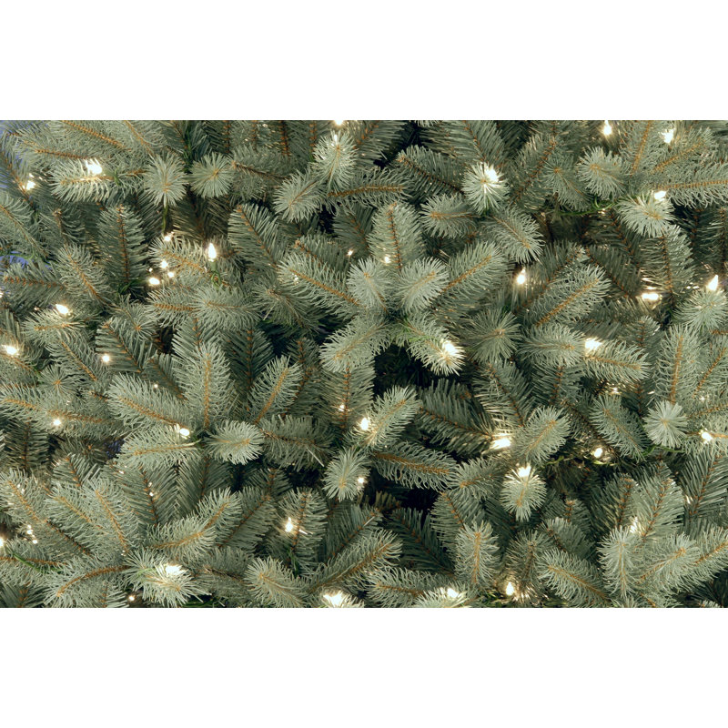 The Holiday Aisle® Downswept Douglas Blue Fir Tree with Clear Lights, 7.5' H