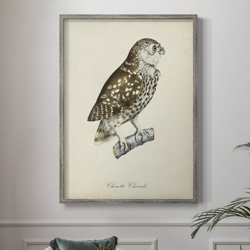 «French Owls I», reproduction encadrée - bois massif, H 11 po x l 9 po