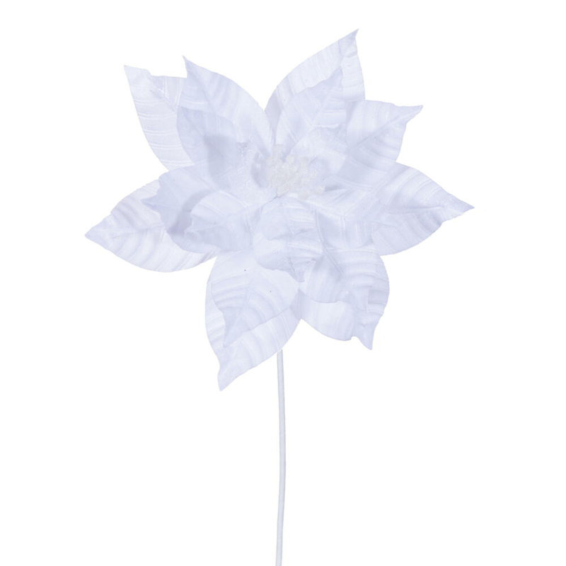 Tiges de poinsettia, Blanc