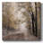 Painting Print-1681228672
