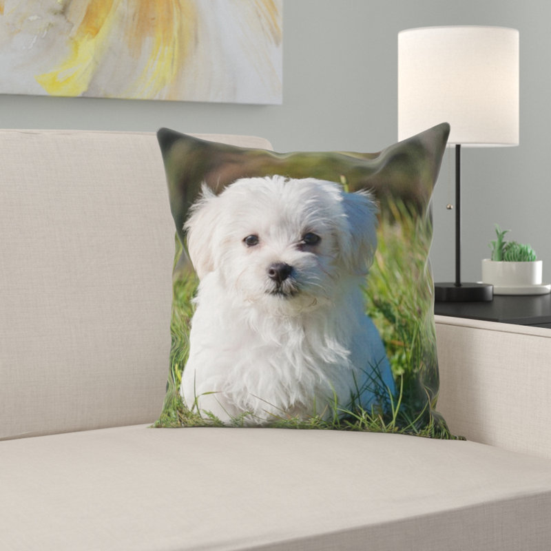 Coussin pour chien