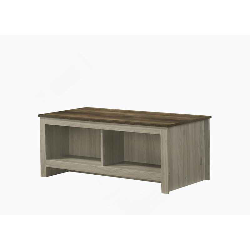 Table basse en chêne gris de 43 po Nyla avec tablettes ouvertes à l'avant et à l'arrière