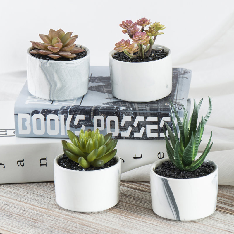 Ensemble de 4 plantes succulentes artificielles dans un pot à fleurs