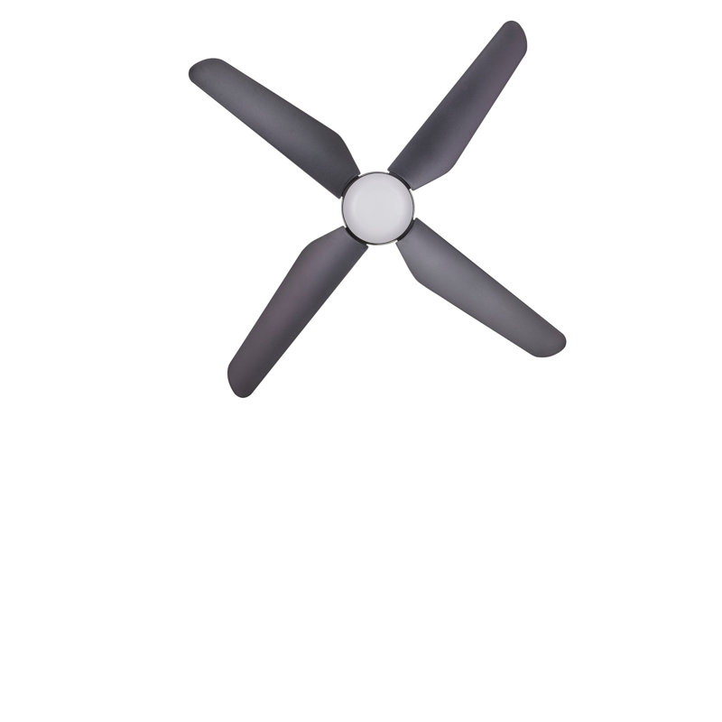 Alberte 122cm Ceiling Fan with LED Lights, Black