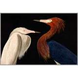 Audubon Conversation Painting by Thom Filicia