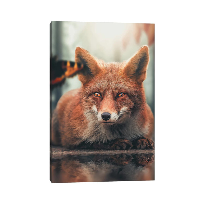 Fox Reflection Butterfly by Zenja Gammer - Print on Canvas, Wrapped Canvas, 30.48 cm H x 45.72 cm W