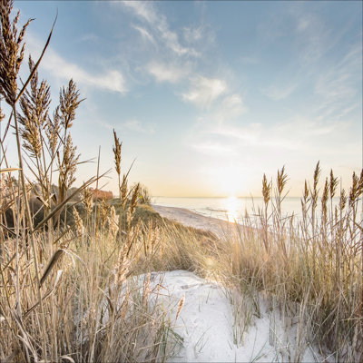 Wild Beach III - No Frame Print on Float Glass