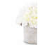 Riley Roses Arrangement in Planter