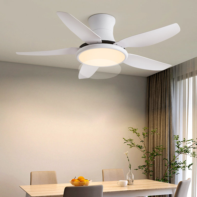 Andreano 122cm Ceiling Fan with LED Lights, White