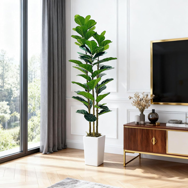 Plant, White