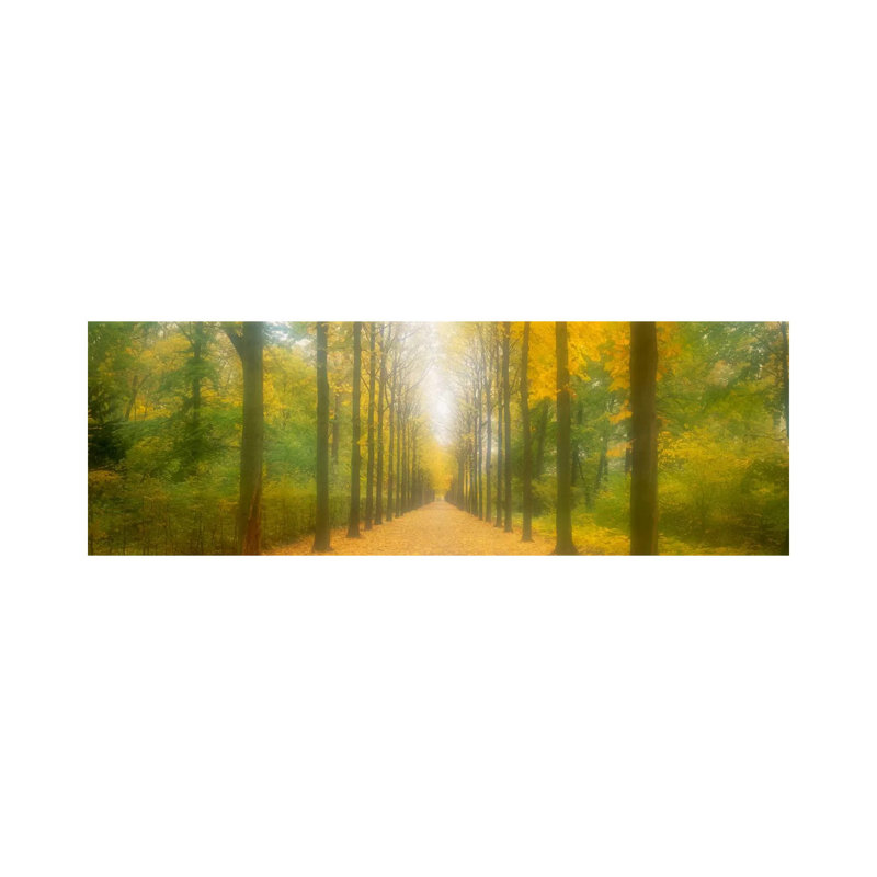 Path Schwetzingen Germany by Panoramic Images - Wrapped Canvas Panoramic Print, 182.88 cm H x 60.96 cm W