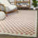Neamiah Chequered Shag Area Rug