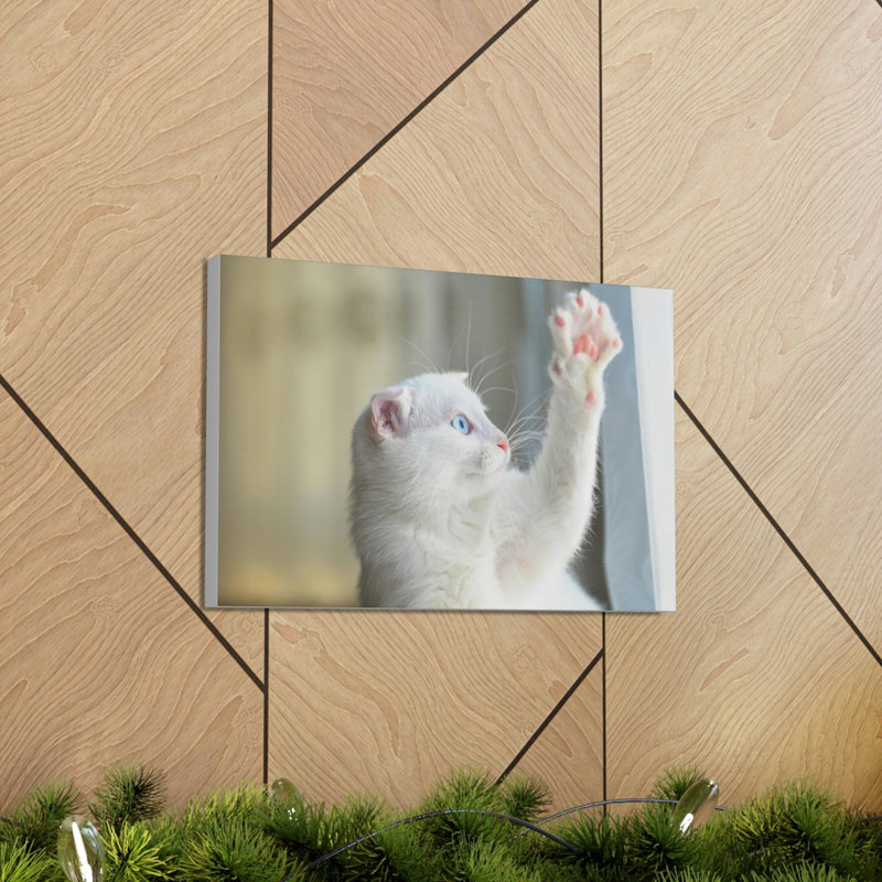 Illustration amusante d'un chat sauvage amusant, H 12 po x l 16 po
