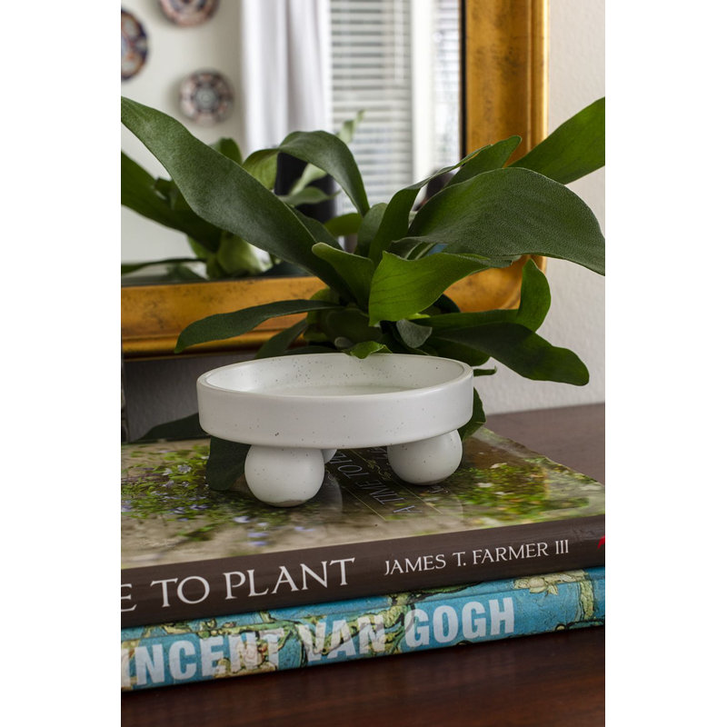 Support pour plante Eaves Nixie