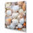 Toile tendue