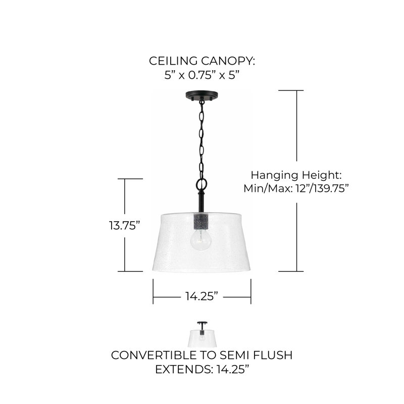 1 - Light Single Pendant, Matte Black