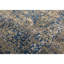 Oriental Area Rug