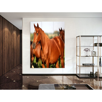 Cloison 3 panneaux cheval Darren