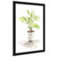 «Fiddle Fig Tree I» par Lanie Loreth - Peinture-65865019-65865021