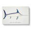 Illustration of a Swordfish by F.E. Clarke - Wrapped Canvas-55359665