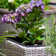 Rattan Planter Set