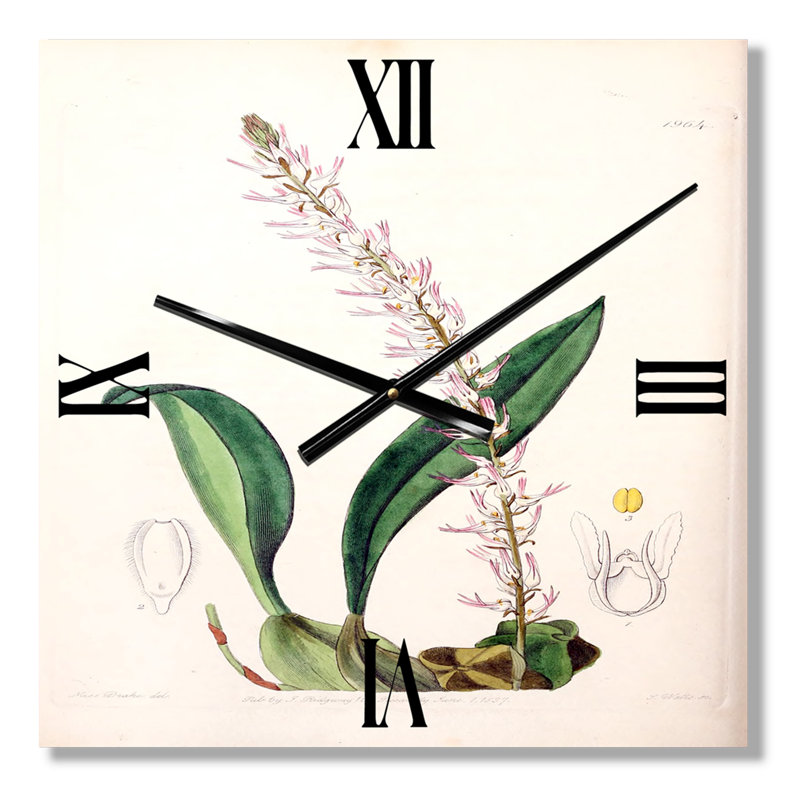 Vintage London Plants V - Horloge murale traditionnelle, Très grand