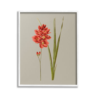 Art giclée botanique traditionnel par Vision Studio