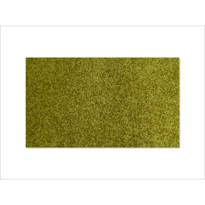 Bravo Non-Slip Indoor Doormat