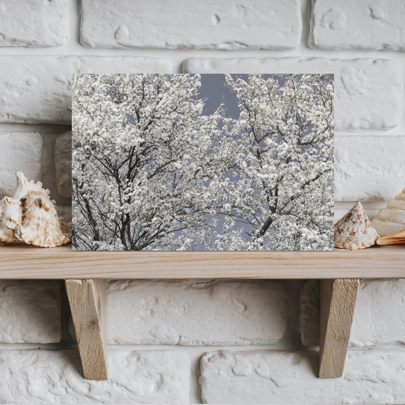 Art mural éthéré à fleurs blanches délicates, H 12 po x l 18 po