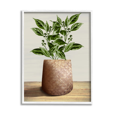 Stupell Industries Bb-269-framed Plant In Woven Planter Framed On Wood By Marcus Prime Print In Coastal White Framed Giclee