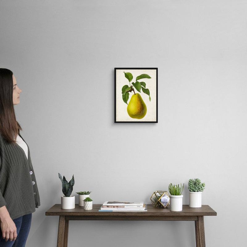 Antique Fruit VII - reproduction d'art sur toile, H 15,7 po x l 12,7 po x P 1,75 po, Cadre flottant noir