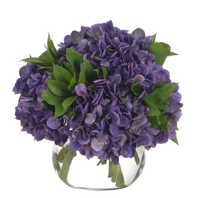 Purple Hydrangea in Glass Vase