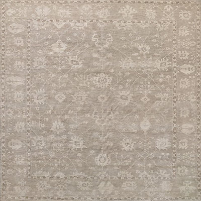 Delbarton Oriental Indoor Rug